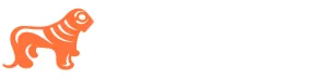 lionfinancegroup.uk