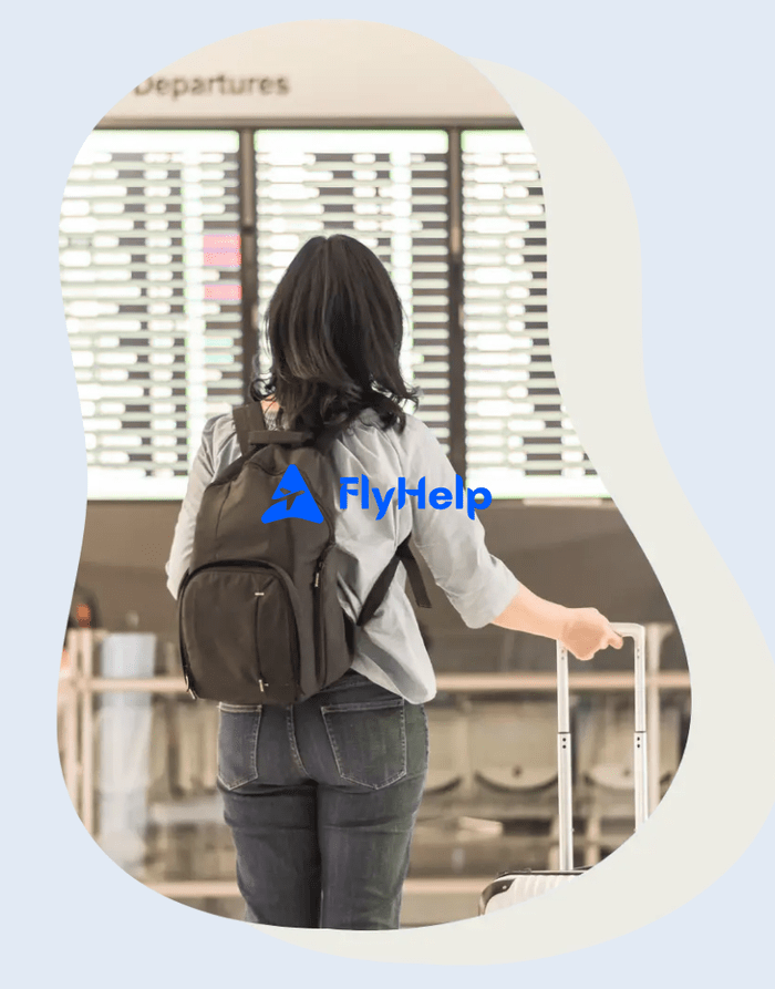 flyhelp.ge
