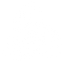 ბრენდის სტრატეგია
